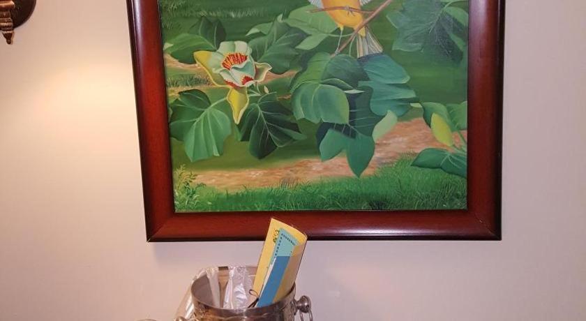 ורו ביץ' The Caribbean Court Boutique Hotel מראה חיצוני תמונה