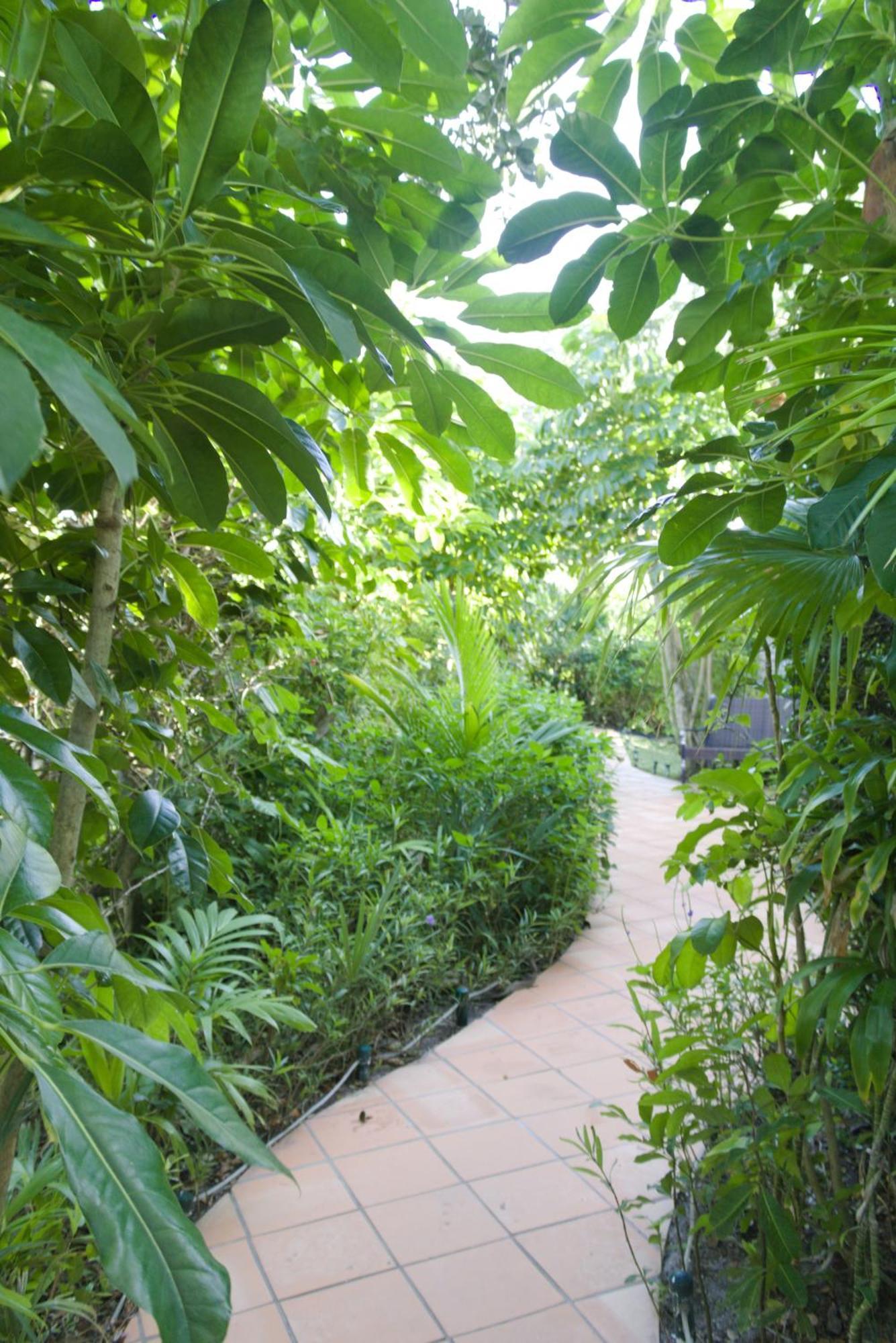ורו ביץ' The Caribbean Court Boutique Hotel מראה חיצוני תמונה