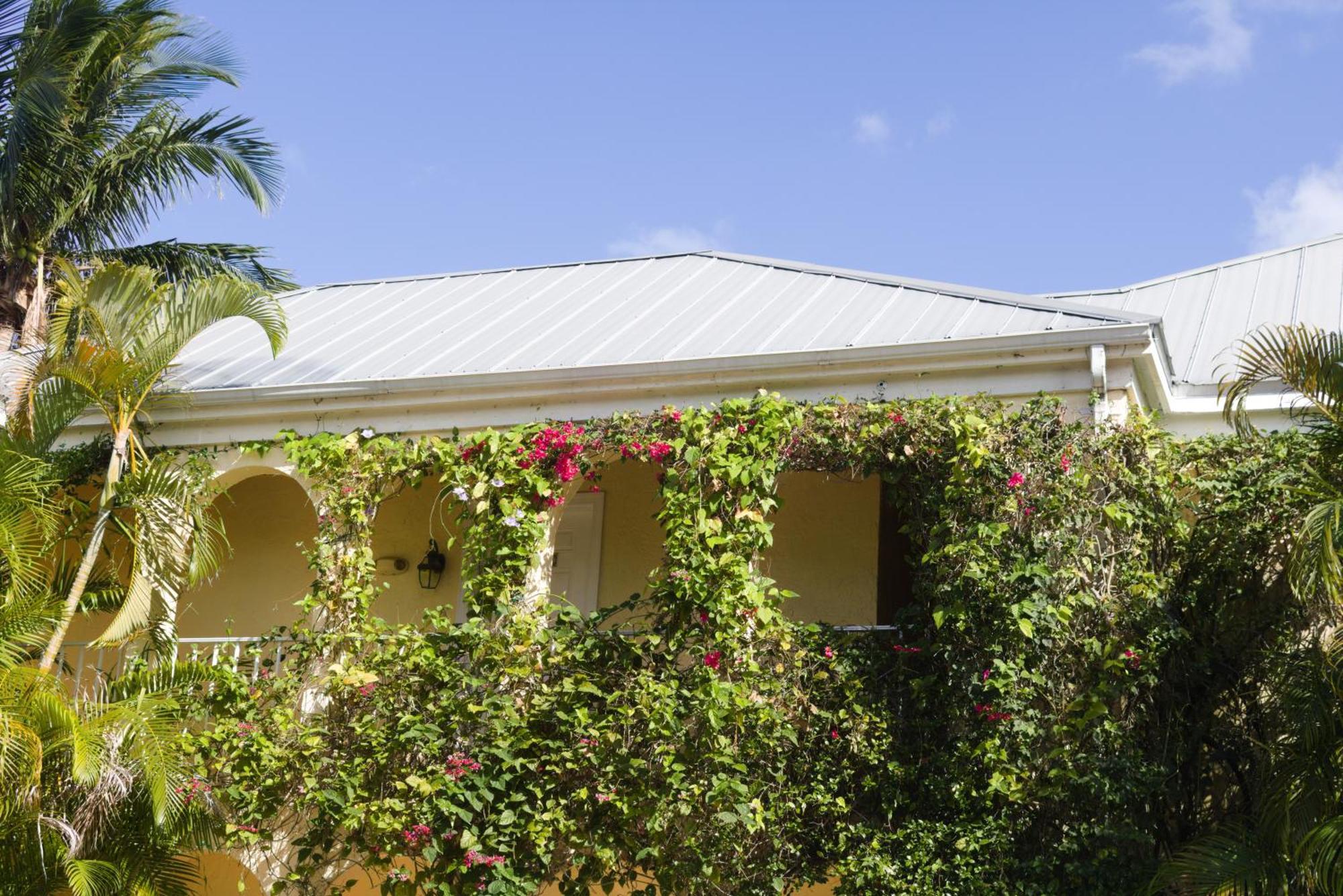 ורו ביץ' The Caribbean Court Boutique Hotel מראה חיצוני תמונה